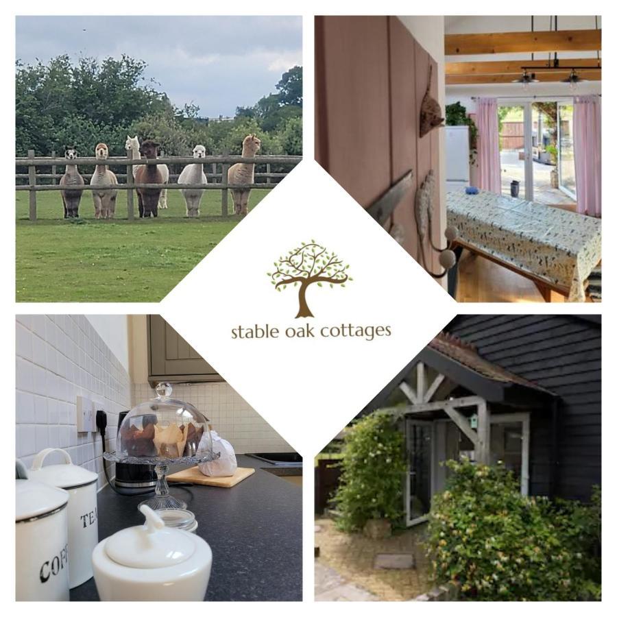 Oak Cottage With Private Log Fired Hot Tub 梅德斯通 外观 照片